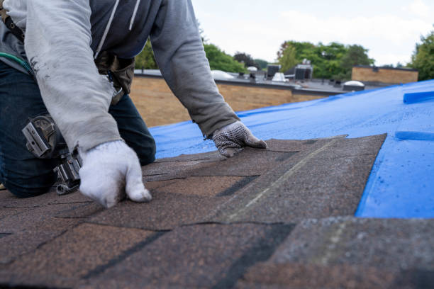 Best Shingle Roofing Installation  in Heber Springs, AR