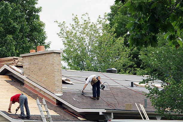 Best Roof Maintenance Services  in Heber Springs, AR